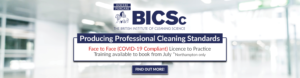 Producing Professional Cleaning Standards